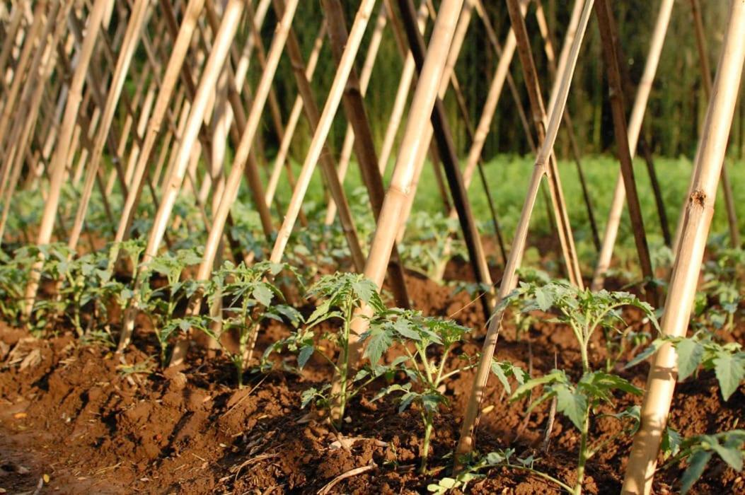 Chacara Das Lendas E Cancoes Passa Quatro Zewnętrze zdjęcie